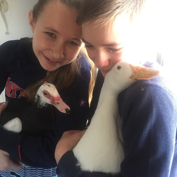 🌊🌿🏔Meet the Seller!😌☕️⚡️ - Picture 13 of 14